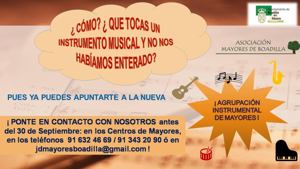 �FORMAMOS UNA AGRUPACI�N INSTRUMENTAL?